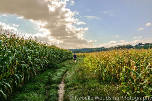 Landschappen-8